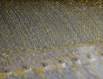 Rubber tackifying resin for tires